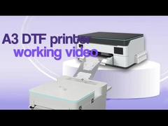A3 DTF-printer werkvideo